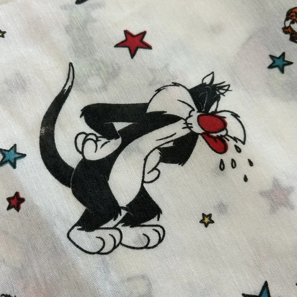 Looney Toon twin flat